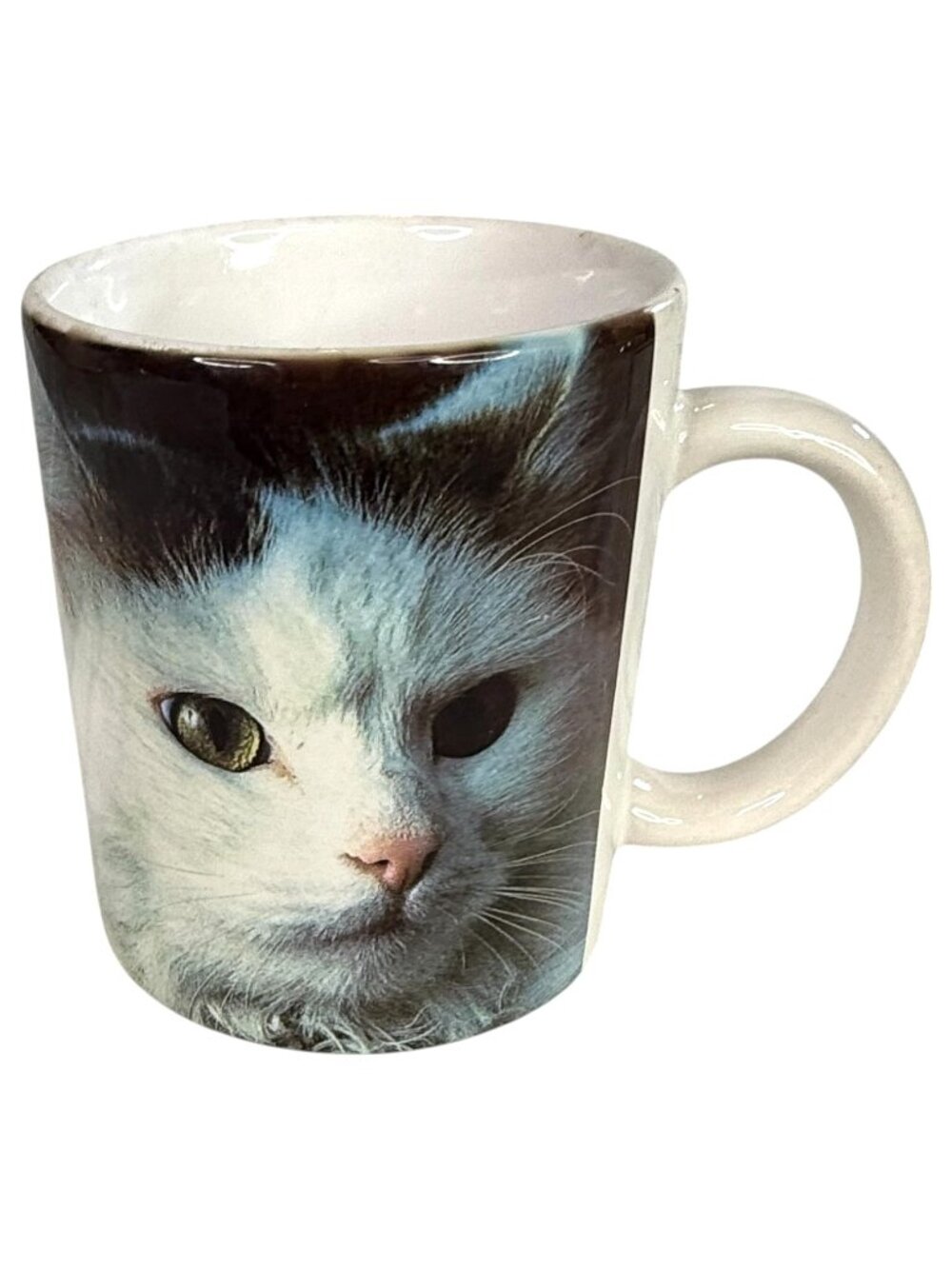 1993 Cat Theme Coffee Mug With Albert Schweitzer Quote Ceramic Cup‎